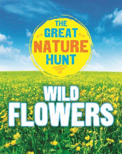 Бумажная книга «The Great Nature Hunt: Wild Flowers», автор Джен Грин - фото №1