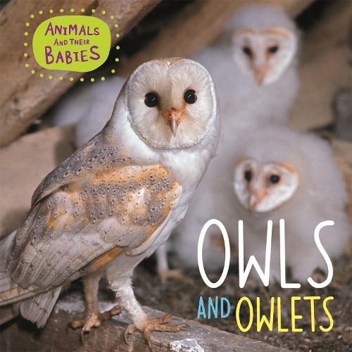 Бумажная книга «Animals and their Babies: Owls & Owlets», автор Аннабель Линч - фото №1