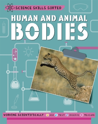 Паперова книга «Science Skills Sorted!: Human and Animal Bodies», автор Анжела Ройстон - фото №1