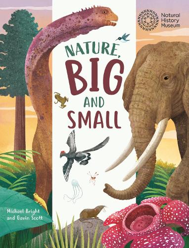 Paper book «Big and Small: Nature, Big and Small: Published in partnership with the Natural History Museum», author Michael Bright - фото №1