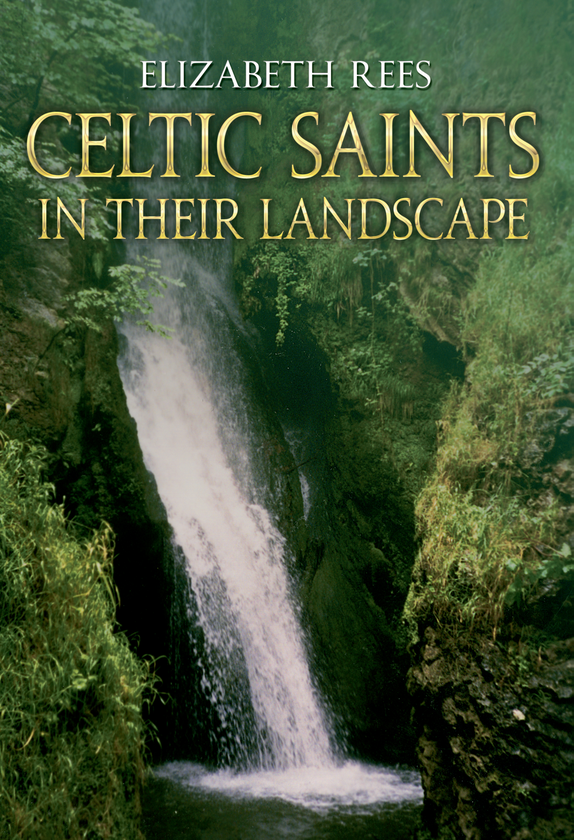 Бумажная книга «Celtic Saints In Their Landscape» - фото №1