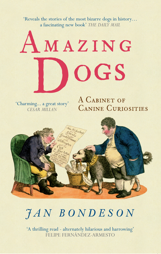Бумажная книга «Amazing Dogs» - фото №1