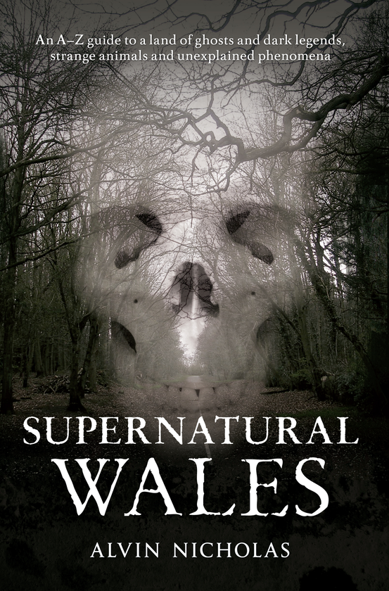 Паперова книга «Supernatural Wales» - фото №1