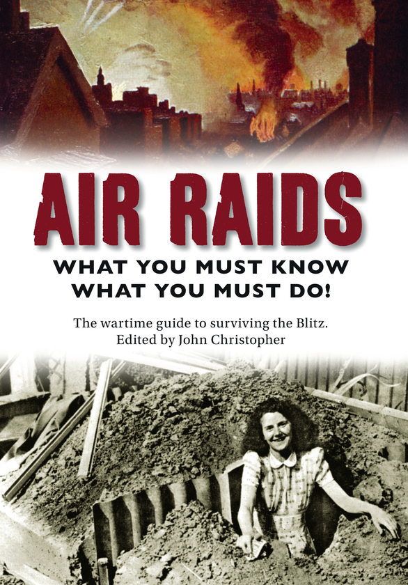 Бумажная книга «Air Raids» - фото №1