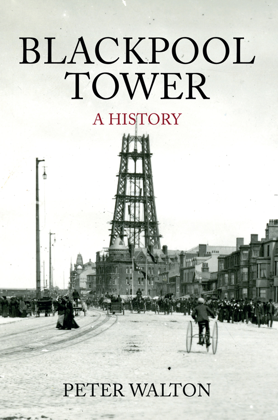 Бумажная книга «Blackpool Tower A History» - фото №1