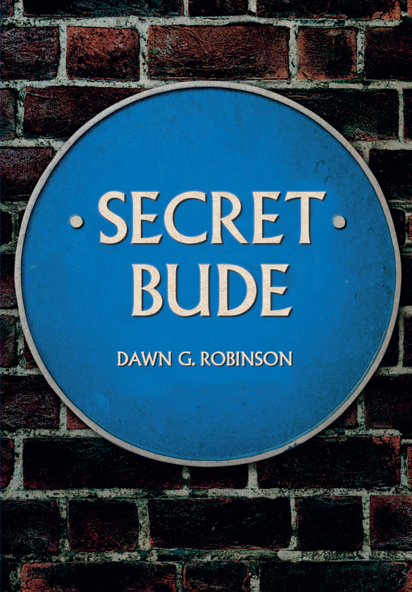 Бумажная книга «Secret Bude» - фото №1