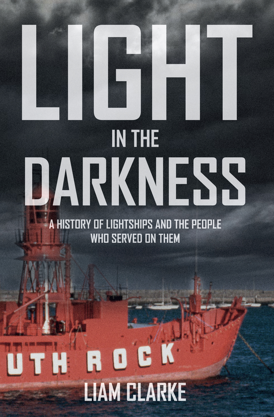 Бумажная книга «Light in the Darkness» - фото №1