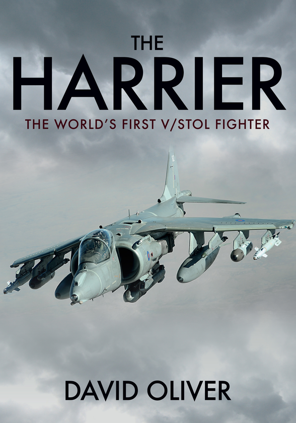 Паперова книга «The Harrier» - фото №1