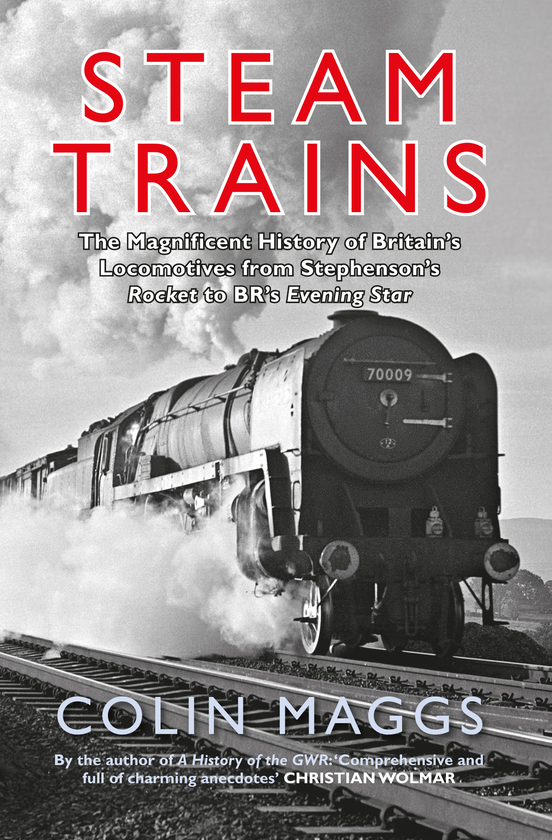Бумажная книга «Steam Trains» - фото №1