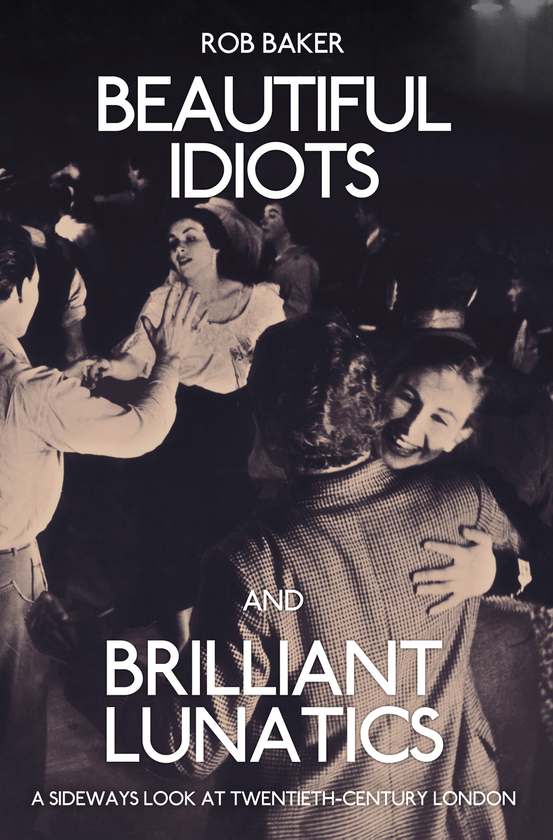 Бумажная книга «Beautiful Idiots and Brilliant Lunatics» - фото №1