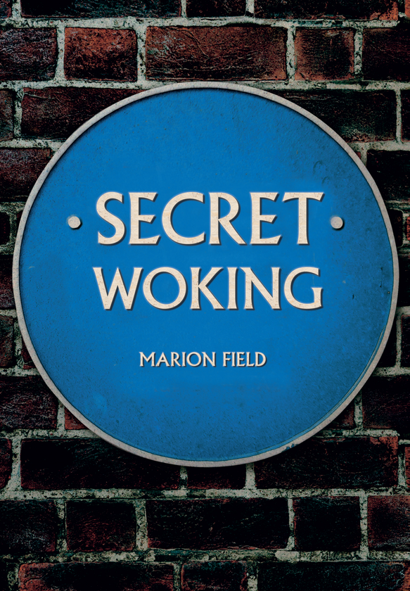 Бумажная книга «Secret Woking» - фото №1