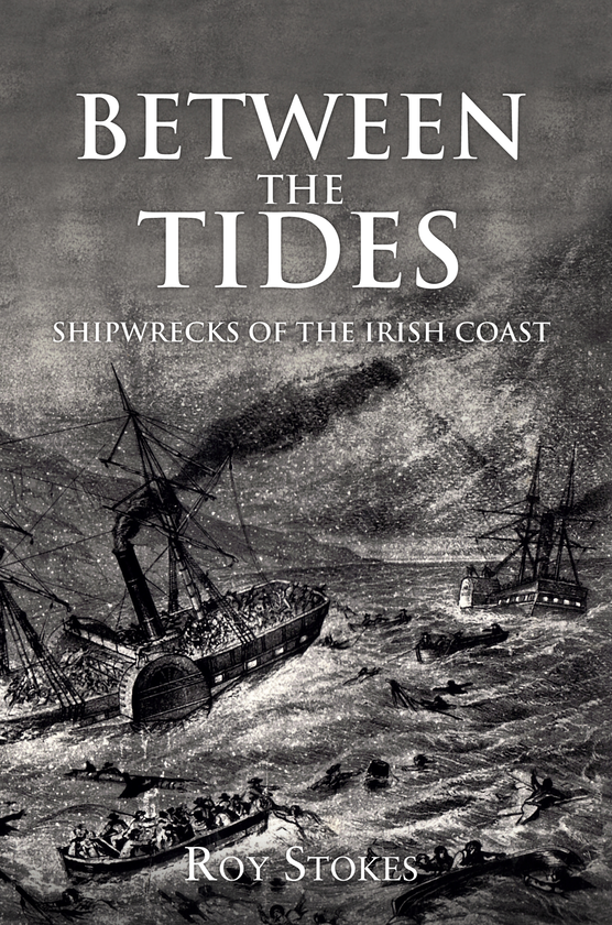 Бумажная книга «Between the Tides» - фото №1