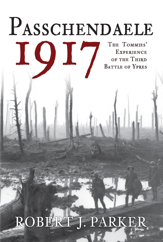 Бумажная книга «Passchendaele 1917» - фото №1
