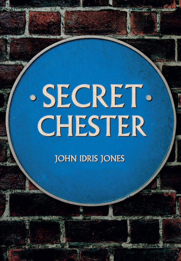 Бумажная книга «Secret Chester» - фото №1