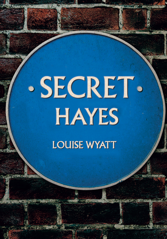 Паперова книга «Secret Hayes» - фото №1