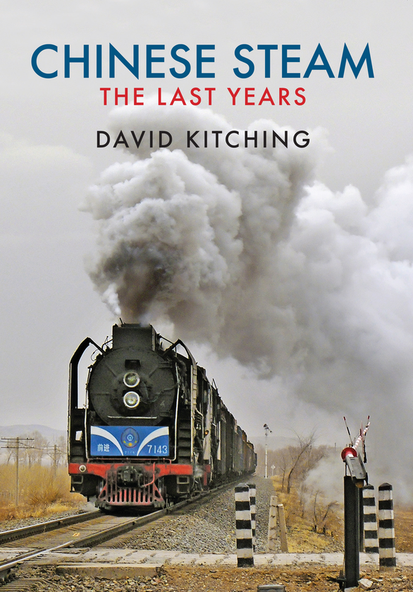 Бумажная книга «Chinese Steam» - фото №1
