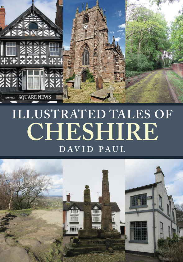 Бумажная книга «Illustrated Tales of Cheshire» - фото №1