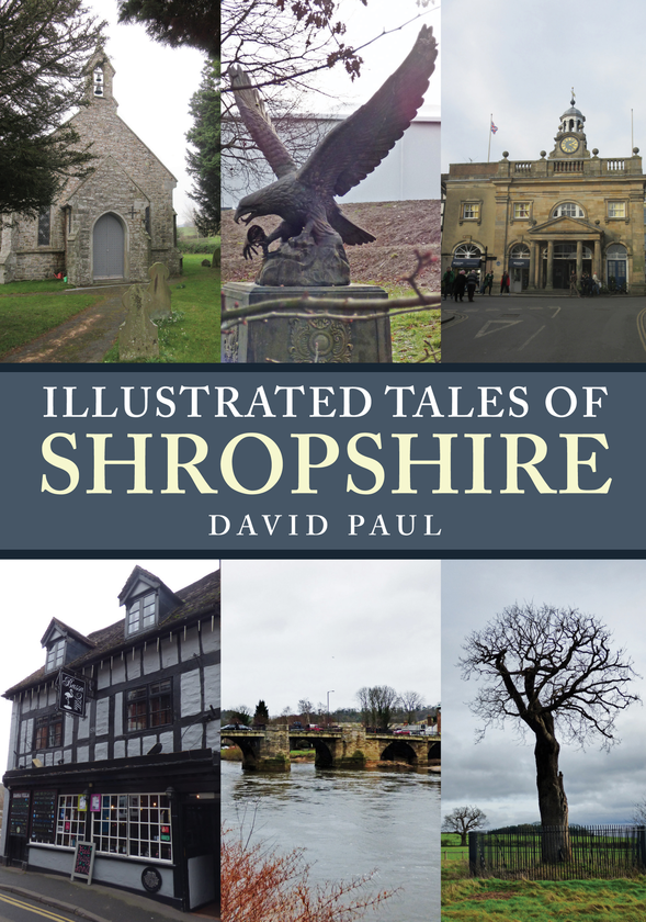 Бумажная книга «Illustrated Tales of Shropshire» - фото №1