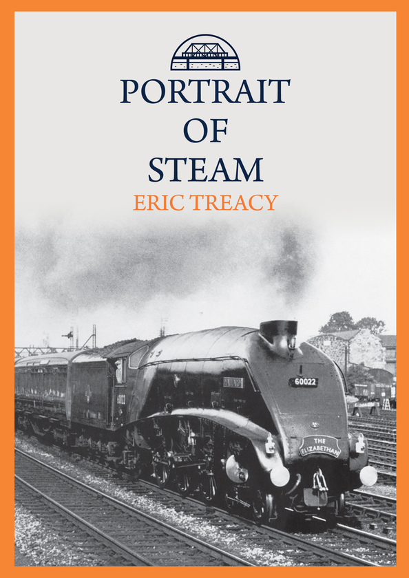 Бумажная книга «Portrait of Steam» - фото №1