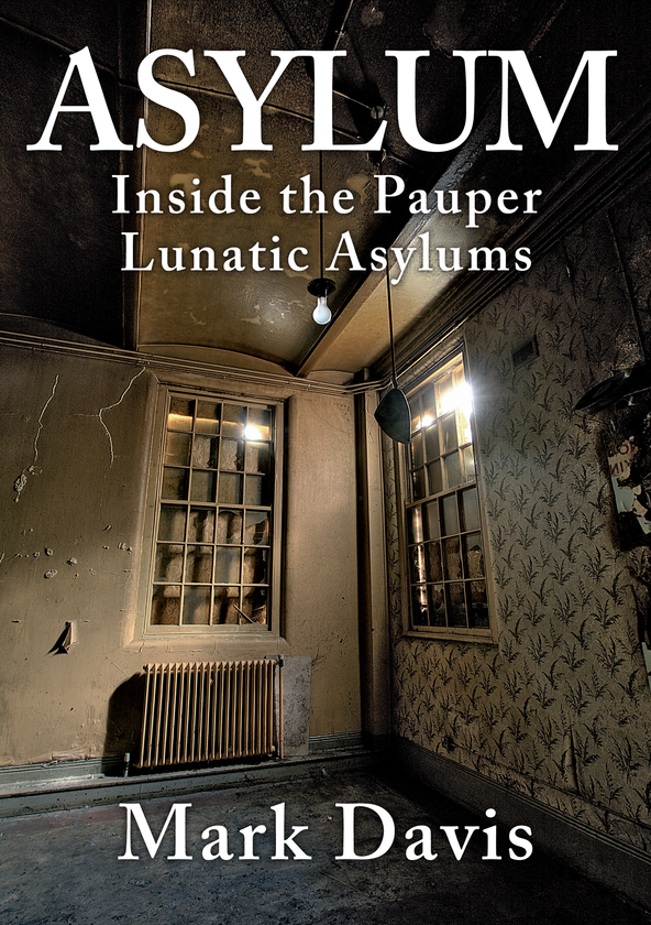 Бумажная книга «Asylum» - фото №1