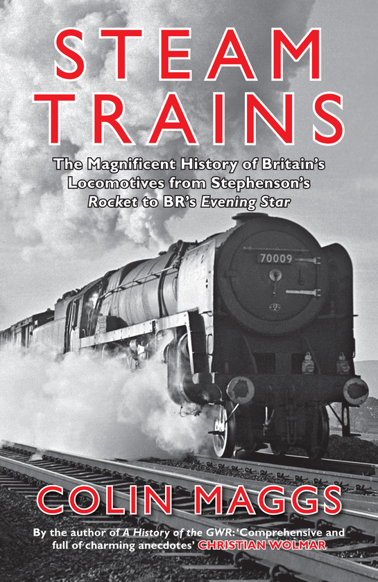 Бумажная книга «Steam Trains» - фото №1