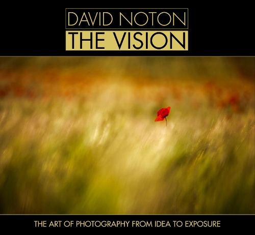 Бумажная книга «David Noton the Vision: The Art of Photography from Idea to Exposure», автор Дэвид Нотон - фото №1