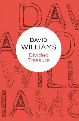 Бумажная книга «Divided Treasure», автор Дэвид Уильямс - фото №1