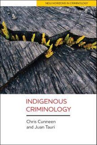 Паперова книга «Indigenous Criminology», авторів Крис Каннин, Хуан Таурі - фото №1