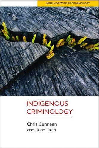 Паперова книга «Indigenous Criminology», авторів Крис Каннин, Хуан Таурі - фото №1