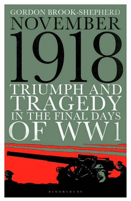 Паперова книга «01.11.1918 00:00:00» - фото №1
