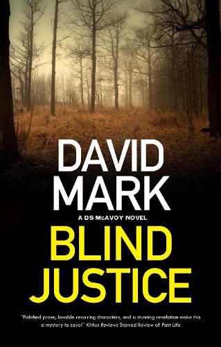 Бумажная книга «Blind Justice», автор Дэвид Марк - фото №1