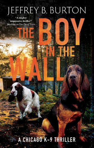 Паперова книга «The Boy in the Wall», автор Джеффрі Б. Бартон - фото №1
