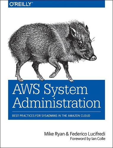 [object Object] «AWS System Administration: Best Practices for Sysadmins in the Amazon Cloud», авторів Федеріко Лучіфреді, Майк Райан - фото №1