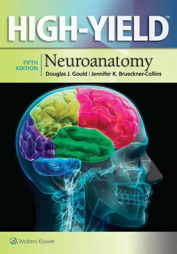 Паперова книга «High-Yield Neuroanatomy», авторів Дуглас Дж. Гулд, Джеймс Д. Фікс, Дженніфер К. Брюкнер-Коллінз - фото №1