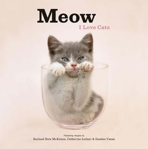 Бумажная книга «Meow: I Love Cats Hc» - фото №1