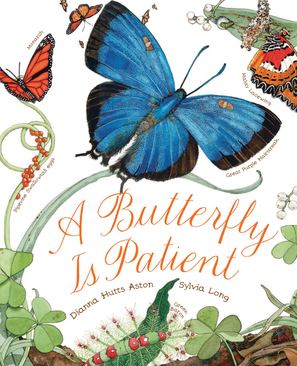 Бумажная книга «A Butterfly Is Patient», автор Дианна Хаттс Эстон - фото №1