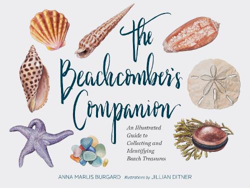 Паперова книга «Beachcomber's Companion: An Illustrated Guide to Collecting and Identifying Beach Treasures», автор Джилліан Діттнер - фото №1