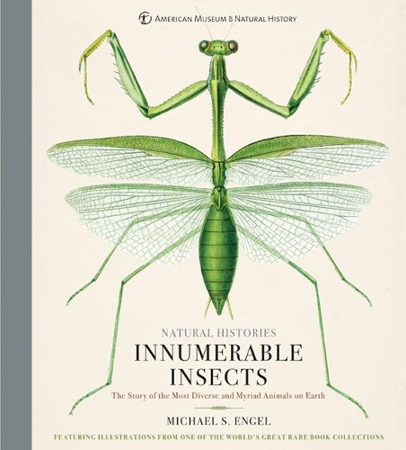 Бумажная книга «Innumerable Insects: The Story of the Most Diverse and Myriad Animals on Earth», автор Майкл С. Энгель - фото №1