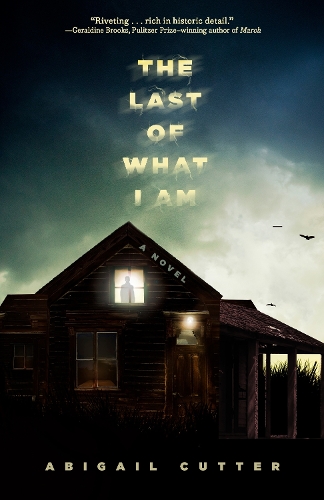 Бумажная книга «The Last of What I Am: A Novel», автор Эбигейл Каттер - фото №1