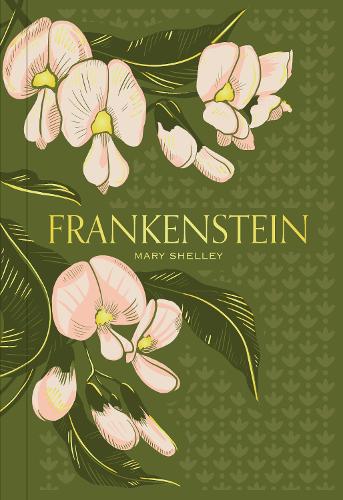 Бумажная книга «Frankenstein», автор Мэри Шелли - фото №1
