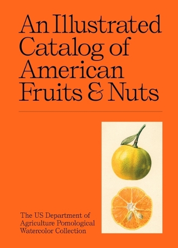 Бумажная книга «An Illustrated Catalog of American Fruits & Nuts», автор Коллекция акварелей Министерства сельского хозяйства США - фото №1