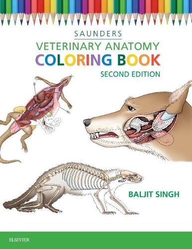 Бумажная книга «Veterinary Anatomy Coloring Book», автор Балджит Сингх - фото №1