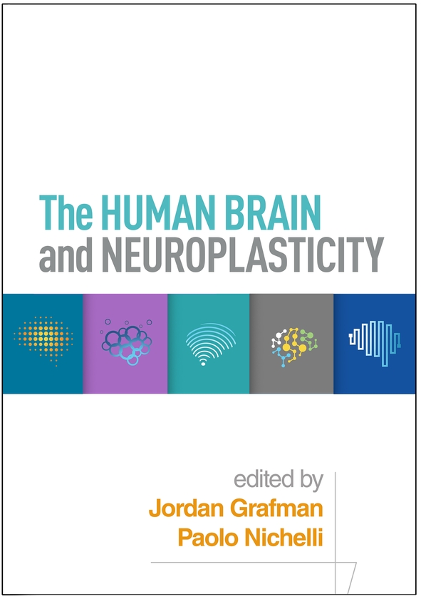 Бумажная книга «The Human Brain and Neuroplasticity» - фото №1
