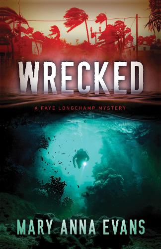 Паперова книга «Wrecked», автор Мері Анна Еванс - фото №1