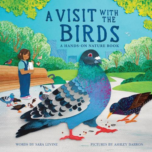 Паперова книга «A Visit with the Birds: A Hands-On Nature Book», автор Сара Левін - фото №1