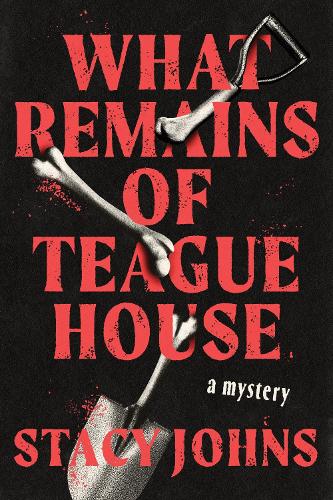 Паперова книга «What Remains of Teague House: A Novel», автор Стейсі Джонс - фото №1