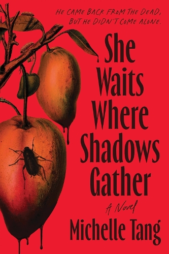 Бумажная книга «She Waits Where Shadows Gather: A Novel», автор Мишель Танг - фото №1