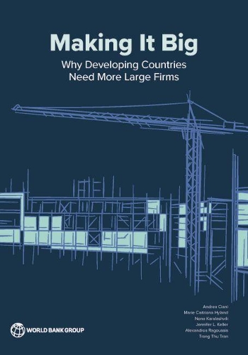 Бумажная книга «Making it big: why developing countries need more large firms», автор Андреа Чиани - фото №1
