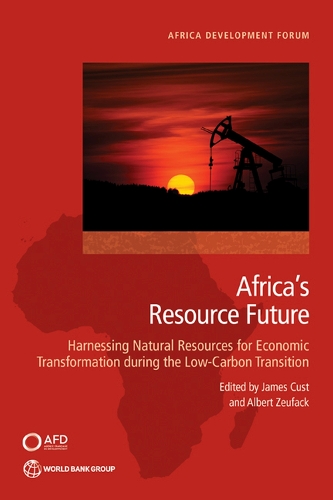 Бумажная книга «Africa's Resource Future: Harnessing Oil, Gas, and Minerals for Economic Transformation during the Low Carbon Transition», авторов Бубакар Бокум, Джеймс Фредерик Каст - фото №1
