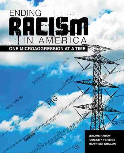 Бумажная книга «Ending Racism In America: One Microaggression at a Time», автор Джером Рэбоу - фото №1